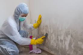 Best Real Estate Mold Inspection  in Nashville, IN